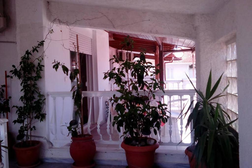 Smell Sea Paralía Exterior foto